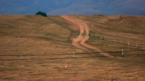 Уфа село ассы, санаторий ассы. Японский камуфляж второй мировой самолеты. Япония 19 век гейши. Японские ассы. Японский истребитель второй мировой ahh2e.