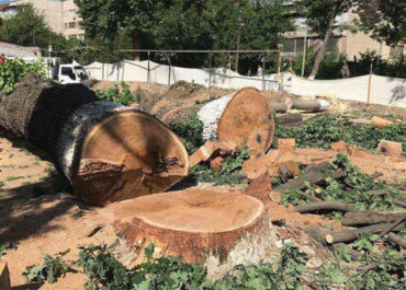 1753071319_cf10b2b8ca679d5ef79776490c2a18f3.jpg
