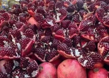 telegram-cloud-photo-size-2-5474360393905338658-y