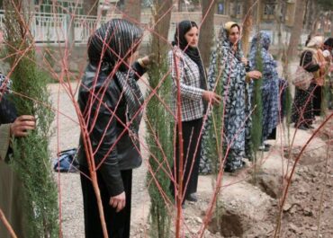 672612fc-8761-433b-9e2b-f010b709d4a3