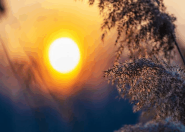 Учёные назвали самый короткий день 2025 года