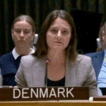 Представитель Дании заявил, что пакистанские талибы получают «регулярную поддержку» от афганских талибов