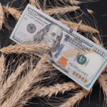 Казахстан расширяет экспорт зерна через сотрудничество с турецким гигантом Arbel