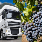 Таджикистан и Россия усиливают аграрное сотрудничество: акцент на экспорте винограда и сезонности поставок