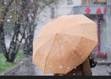 photo_5211054382990953295_x