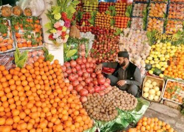 photo_5213137974705458438_x