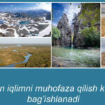 60 фотографий природы Узбекистана покажут на выставке в Ташкенте