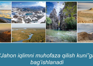 60 фотографий природы Узбекистана покажут на выставке в Ташкенте