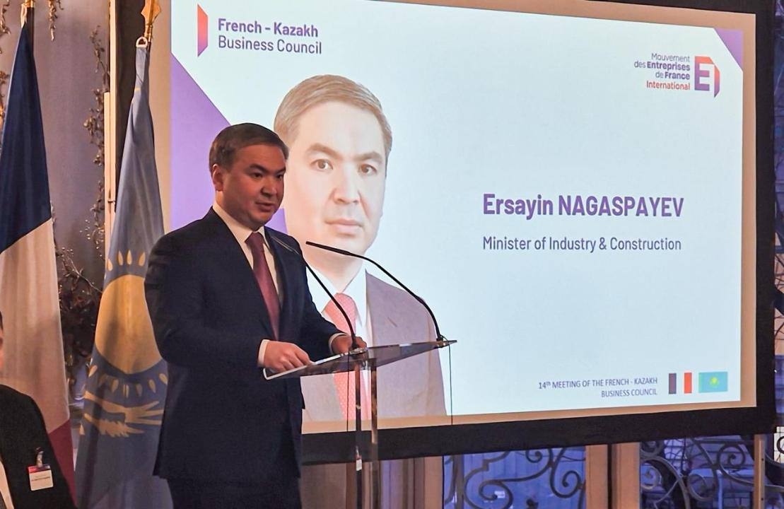 Казахстан обсудил с французскими компаниями проекты в промышленности и добыче критических минералов