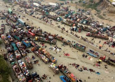 telegram-cloud-photo-size-2-5364314874994953909-y