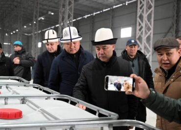 telegram-cloud-photo-size-2-5373270233994433377-y