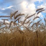 Продкорпорация усилит поддержку аграриев и цифровизацию отрасли