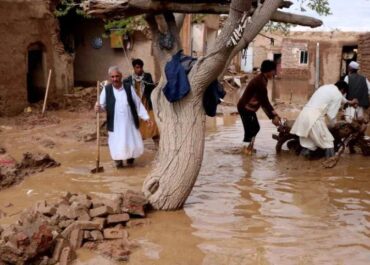 telegram-cloud-photo-size-2-5388826682849954579-x