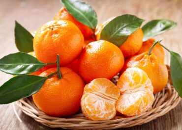 telegram-cloud-photo-size-2-5390936125972614397-y