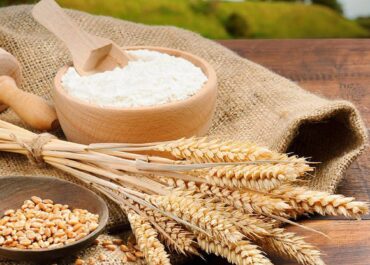 telegram-cloud-photo-size-2-5393187925786299458-y