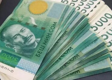 telegram-cloud-photo-size-2-5397754639958084766-y