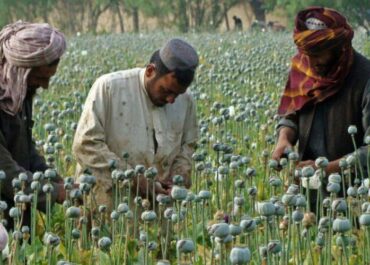 telegram-cloud-photo-size-2-5400345712123383455-x