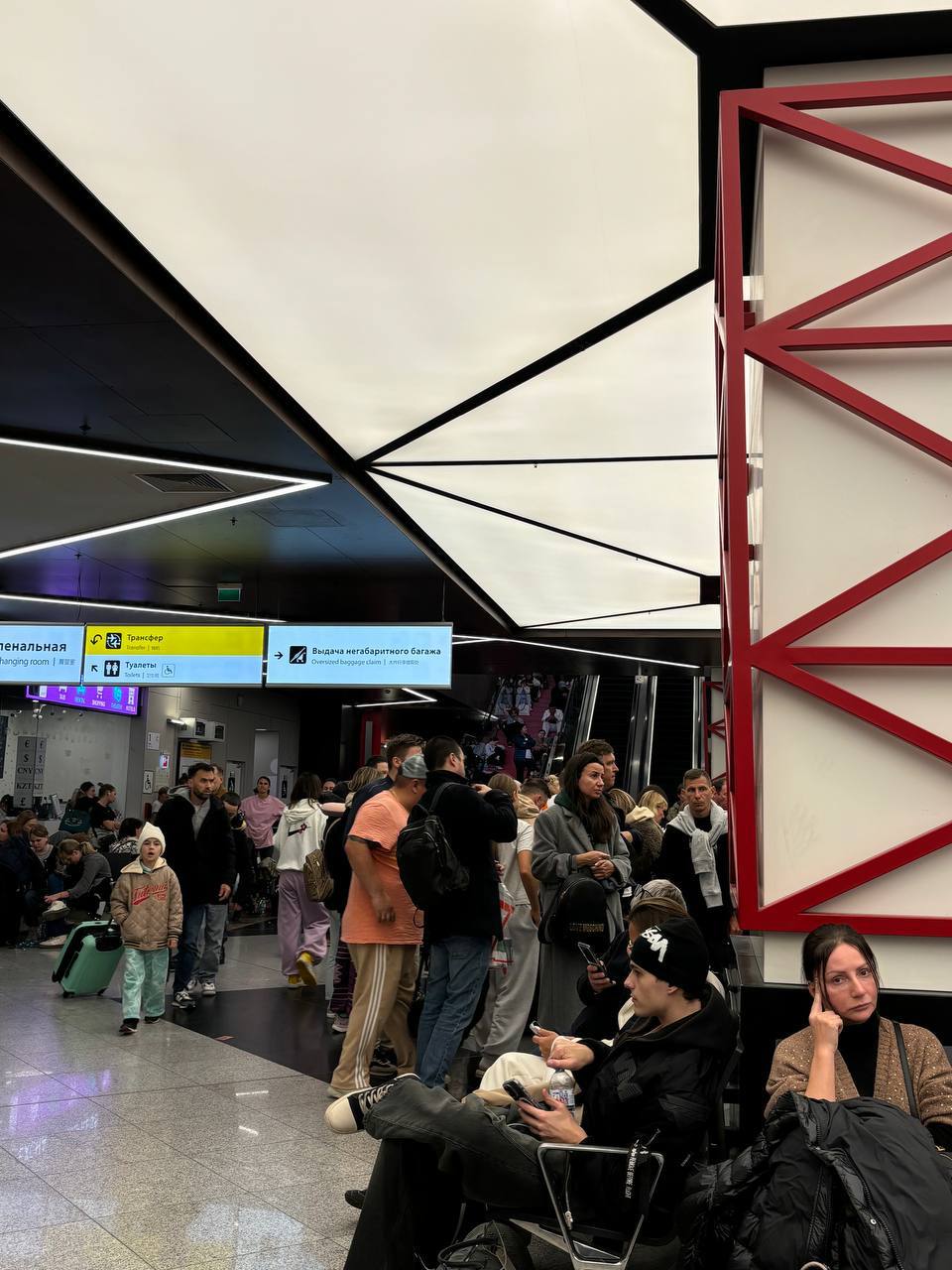 Снежный коллапс в Шереметьево: задержки рейсов и сбои с выдачей багажа