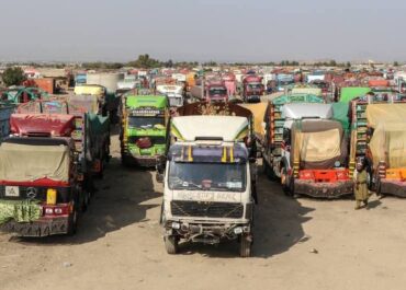 telegram-cloud-photo-size-2-5409289504775933183-x