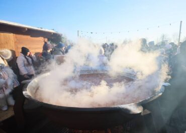 telegram-cloud-photo-size-2-5436194683156630602-y