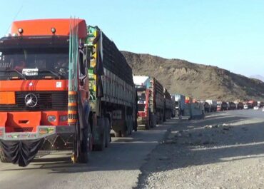 telegram-cloud-photo-size-2-5469975859365089247-y