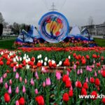 «Сайри гүлі лола»: Көктем бірлік пен қала мәдениетінің символы ретінде