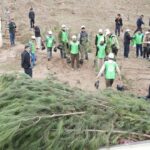 Хатлондағы экологиялық бастама: Облыс әкімі Давлатали Саид Душанбе-Бохтар тас жолының бойында көгалдандыру науқанын басқарды.