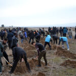 Более 5 тысяч саженцев высажены вдоль международной автомобильной трассы Чанак–Душанбе