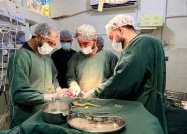 telegram-cloud-photo-size-2-5190578023328058180-x