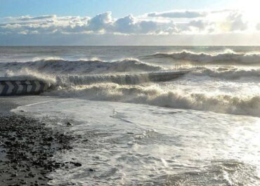 telegram-cloud-photo-size-2-5210685578444215570-x