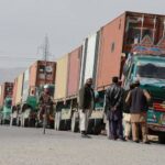 Иранские власти: в этом году в Афганистан экспортировано более 49 тысяч тонн сельхозпродукции