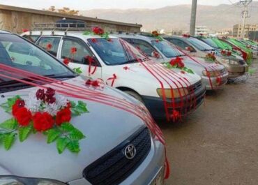 telegram-cloud-photo-size-2-5210685578444216085-x