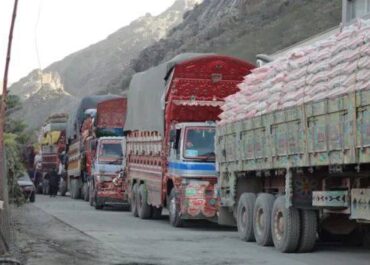 telegram-cloud-photo-size-2-5215499751451726158-x