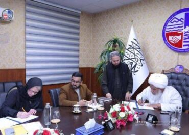 telegram-cloud-photo-size-2-5215499751451726168-x