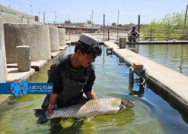 telegram-cloud-photo-size-2-5215499751451726219-x