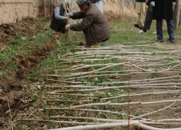 telegram-cloud-photo-size-2-5226510819238024333-y