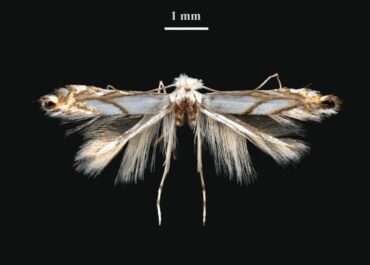 telegram-cloud-photo-size-2-5235961869003068058-y