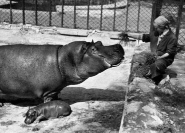 telegram-cloud-photo-size-2-5240214182978851341-x