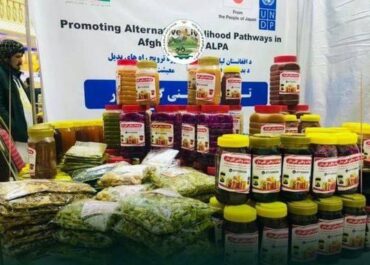 telegram-cloud-photo-size-2-5251470544937358126-x