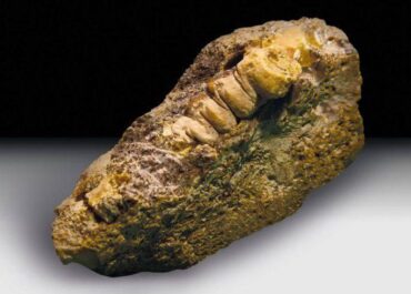 telegram-cloud-photo-size-2-5265165572146664415-x