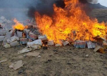 telegram-cloud-photo-size-2-5474400951285255976-x