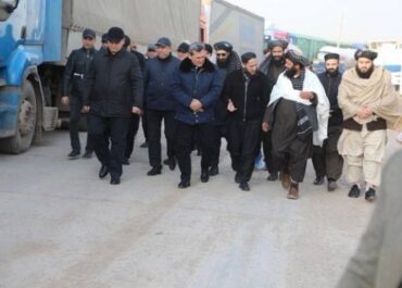 telegram-cloud-photo-size-2-5474479458992458618-x