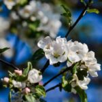 Жара до 30 градусов придёт в Казахстан уже на этой неделе