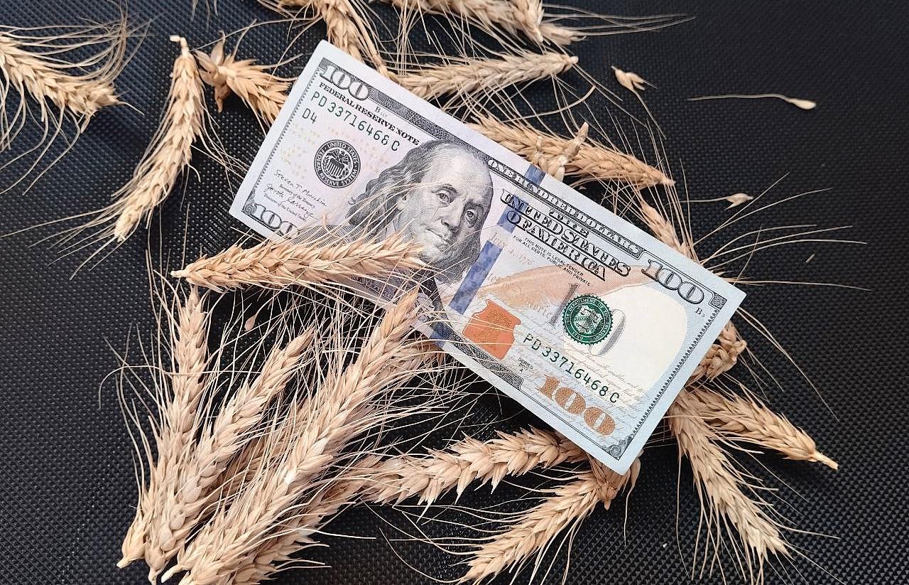 Пшеница дорожает: погодные риски и геополитика толкают рынок вверх