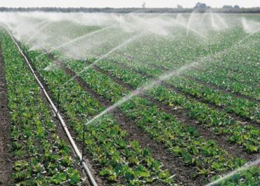 telegram-cloud-photo-size-2-5278681310241166125-x