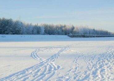 telegram-cloud-photo-size-2-5285280128059513612-y