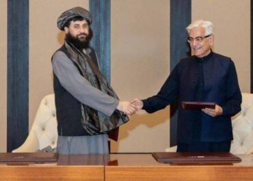 telegram-cloud-photo-size-2-5289488676318549510-y