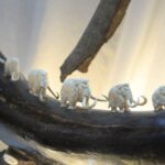 В Якутии разрабатывают ИИ для поиска бивней мамонта