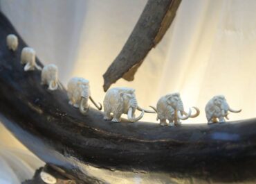 telegram-cloud-photo-size-2-5303247071475340143-x