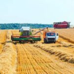 Казахстан: Афганистан — важный рынок пшеницы и муки